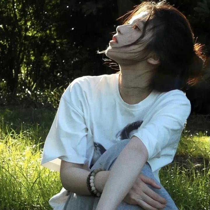 盗贼泰瑞莎